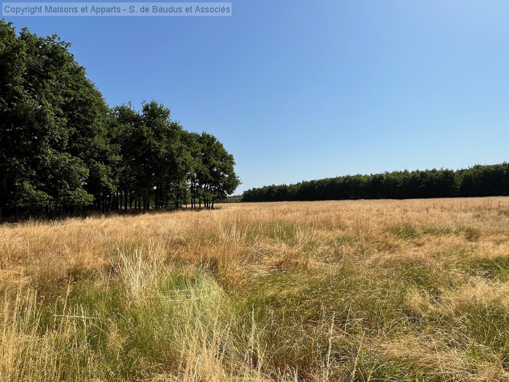 Maison à vendre, JOUY LE POTIER, 110 m², 6 pièces