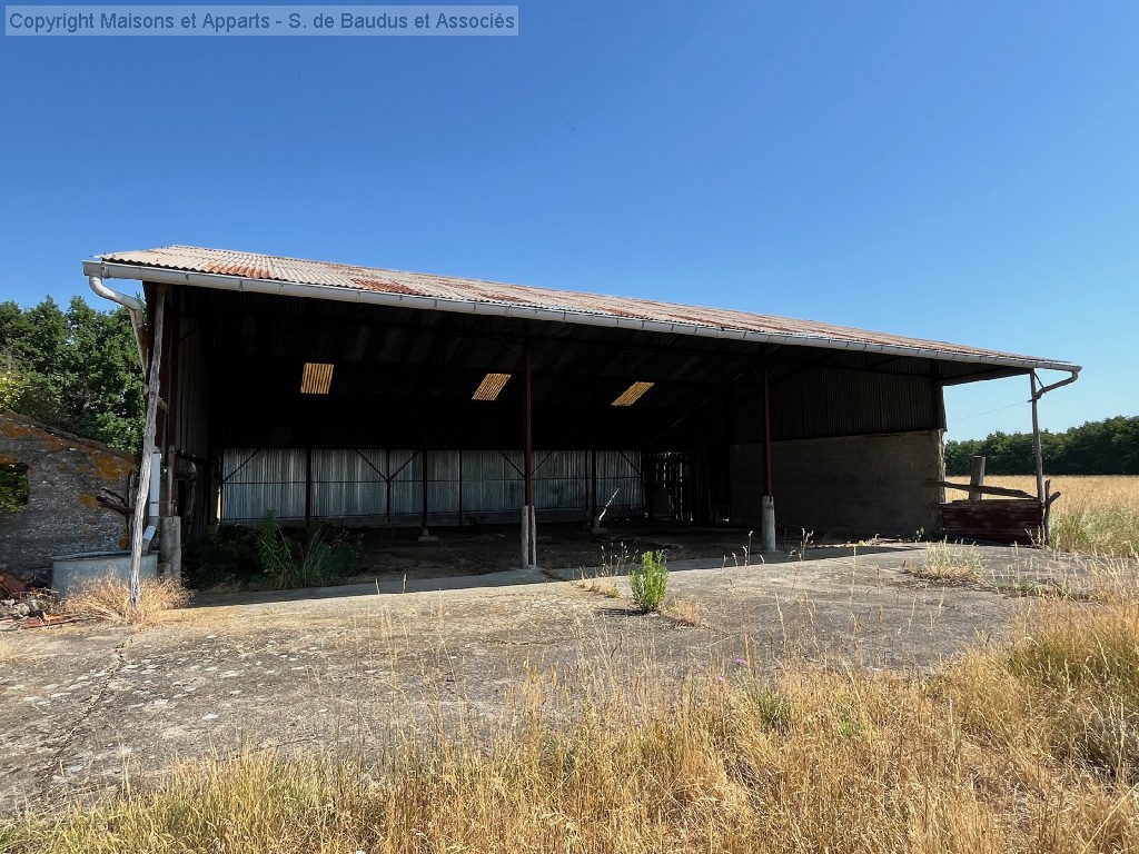 Maison à vendre, JOUY LE POTIER, 110 m², 6 pièces