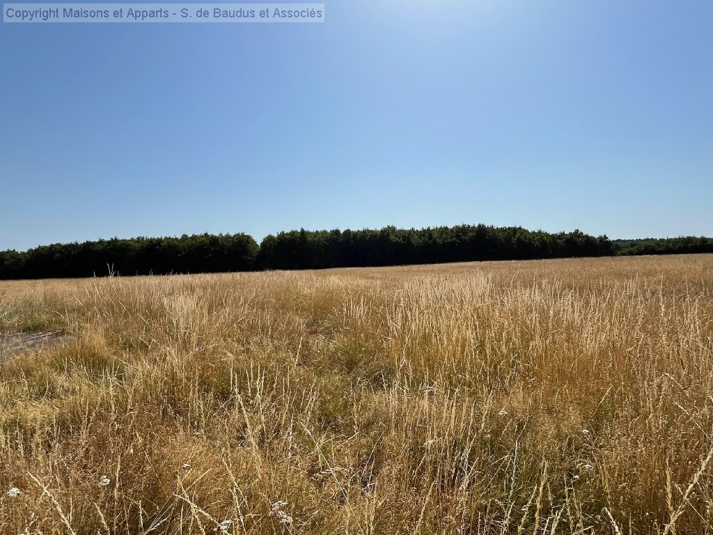 Maison à vendre, JOUY LE POTIER, 110 m², 6 pièces