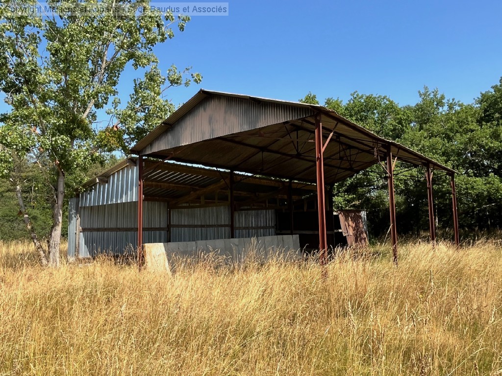 Maison à vendre, JOUY LE POTIER, 110 m², 6 pièces
